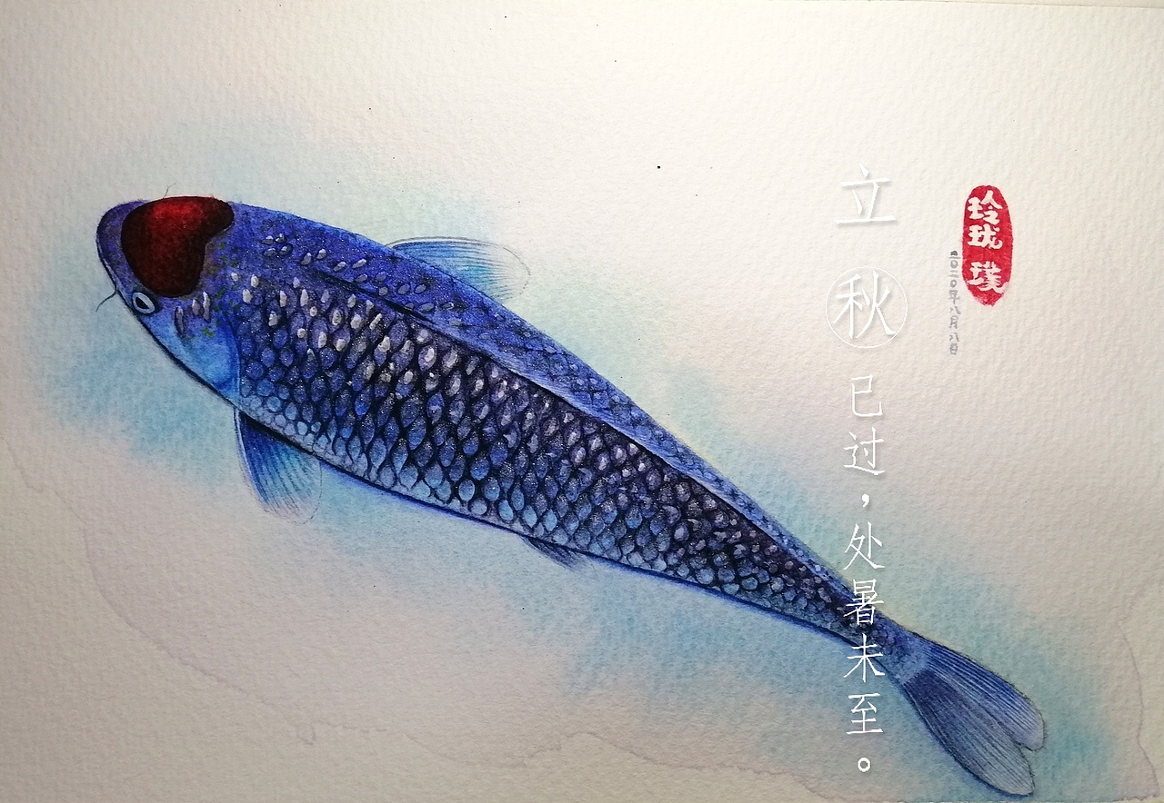 【手绘水彩】银鳞丹顶落叶时雨锦鲤 (原创)