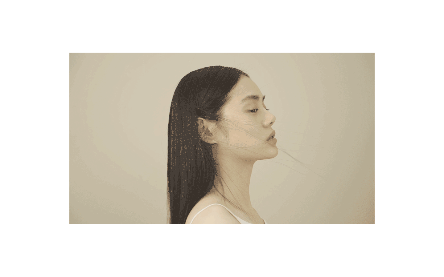 LAN蘭 品牌设计(图ZMjM5MzYzMDk2) - 品牌 - 站酷设计师nofans徐适原创素材 - 站酷ZCOOL