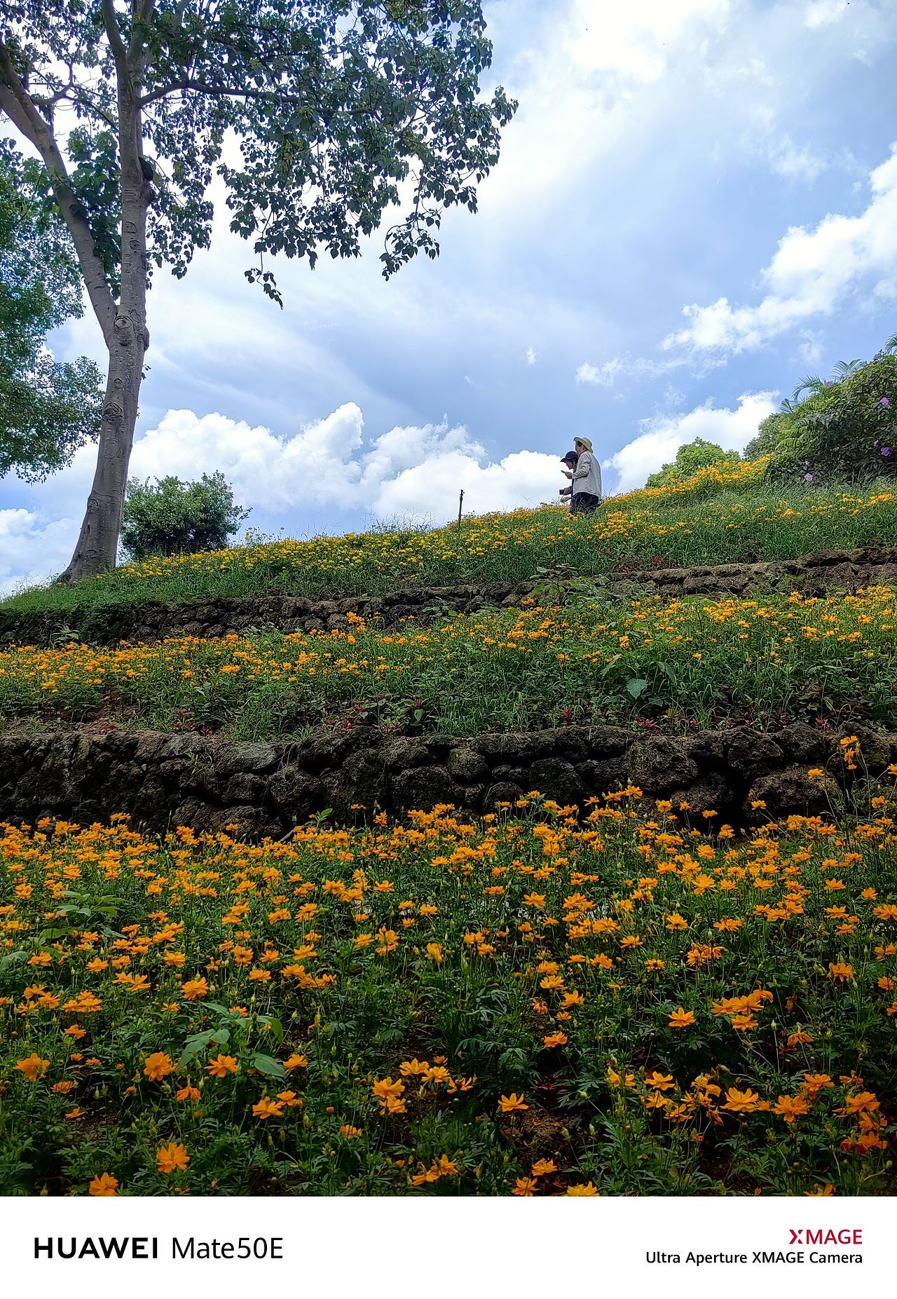 南宁青秀山随手拍