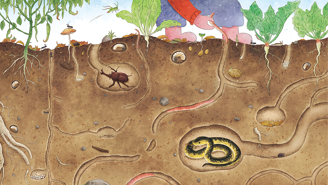 百科翻翻绘本｜狐狸家 《小手翻出大自然》系列