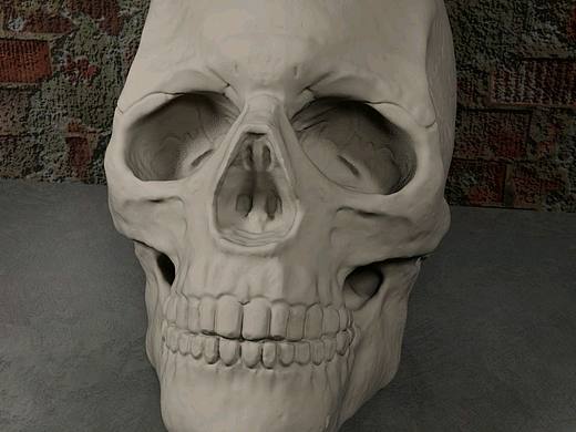 Zb第一次练习头骨雕刻 maya渲染 大二