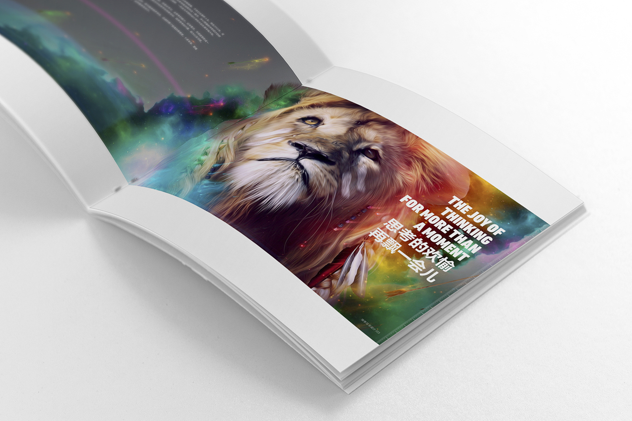 天琥招生画册 企业宣传