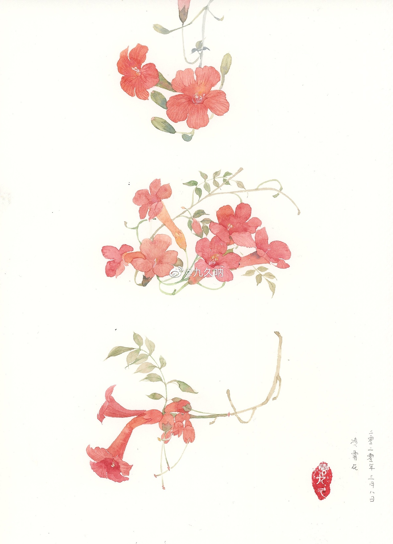 水彩花卉（图ZMTk5MTkzMjc2） - 艺术插画 - 站酷设计师幻想气泡水原创素材 - 站酷ZCOOL