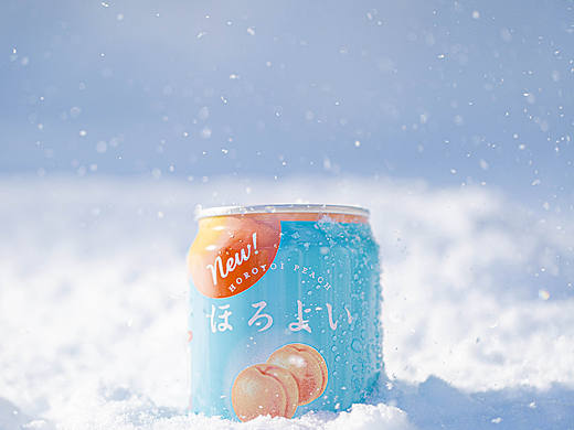 冬日来信-小樽日记