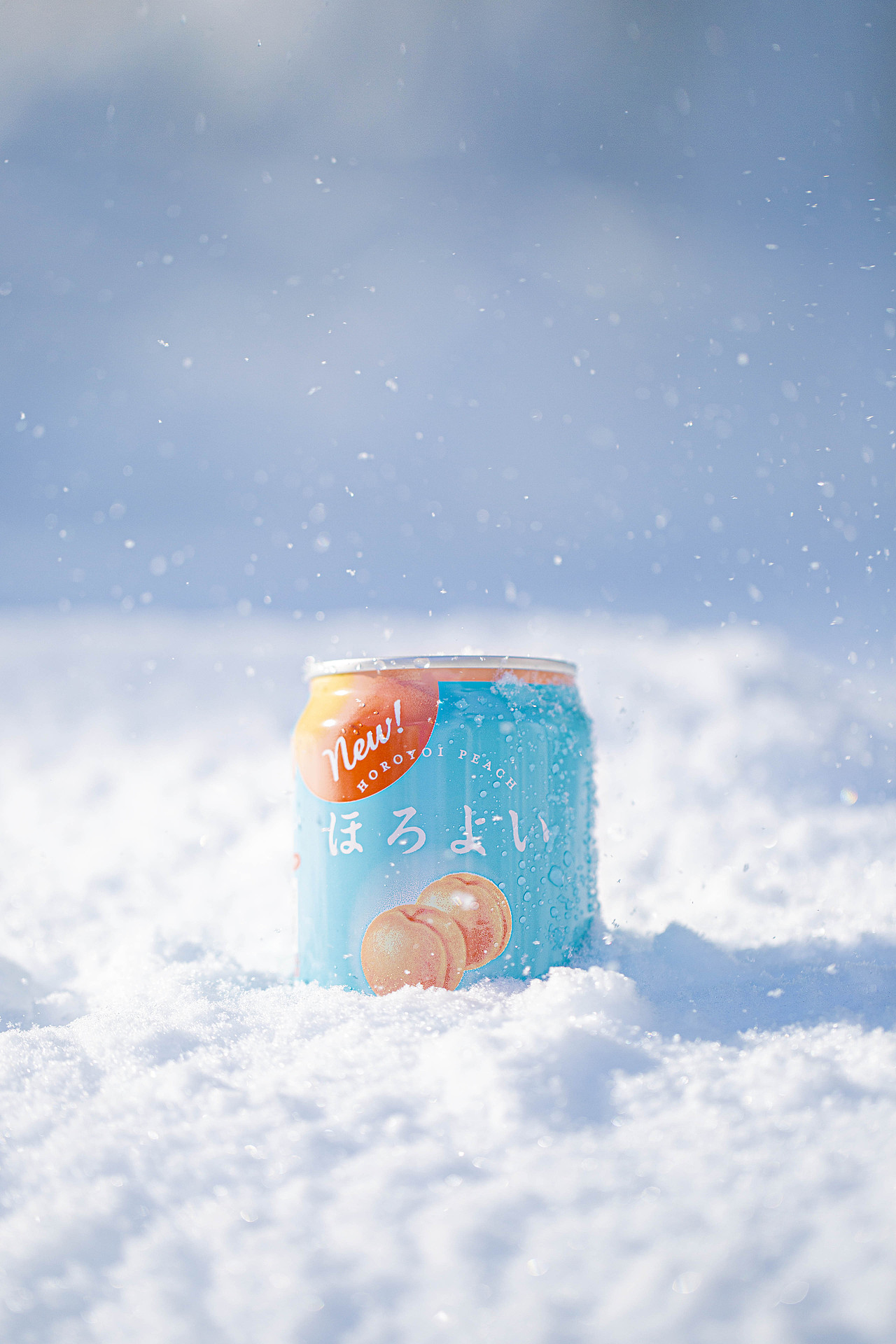 冬日来信-小樽日记