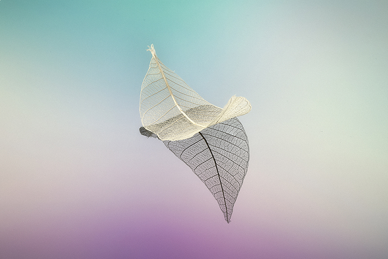 橙子CWL的个人主页（背景预览） - 主页背景设置 - 站酷设计师橙子CWL原创素材 - 站酷ZCOOL