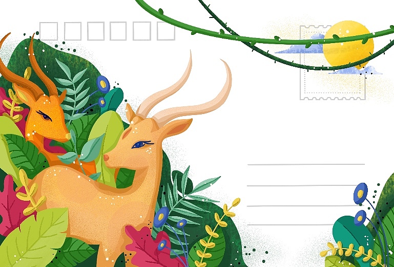 藏羚羊金丝猴明信片设计（图ZMjQxNzYxNDcy） - 商业插画 - 站酷设计师千恩原创素材 - 站酷ZCOOL