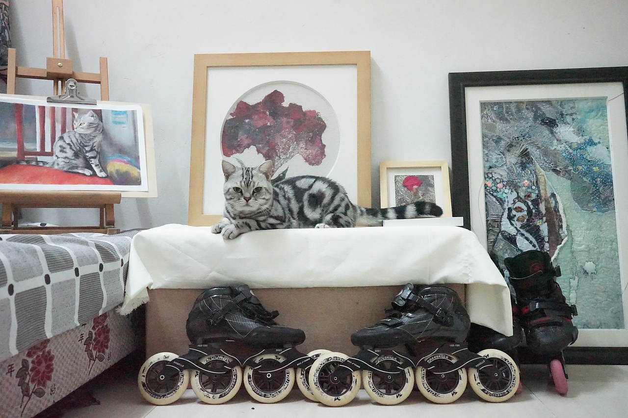 八月是只貓（圖ZMjMxMDI3ODQw） - 繪畫 - 站酷設(shè)計師八啦個寶原創(chuàng)素材 - 站酷ZCOOL