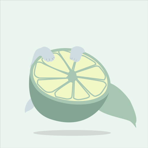 可爱喵喵插画动图（图ZMTY3OTU5MDky） - 动效设计 - 站酷设计师小菇凉3103原创素材 - 站酷ZCOOL