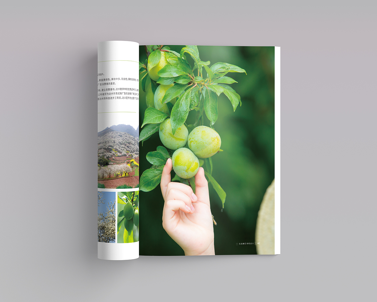 生态秦巴.有机达川    农业画册