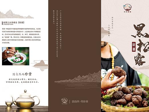 黑松露三折页