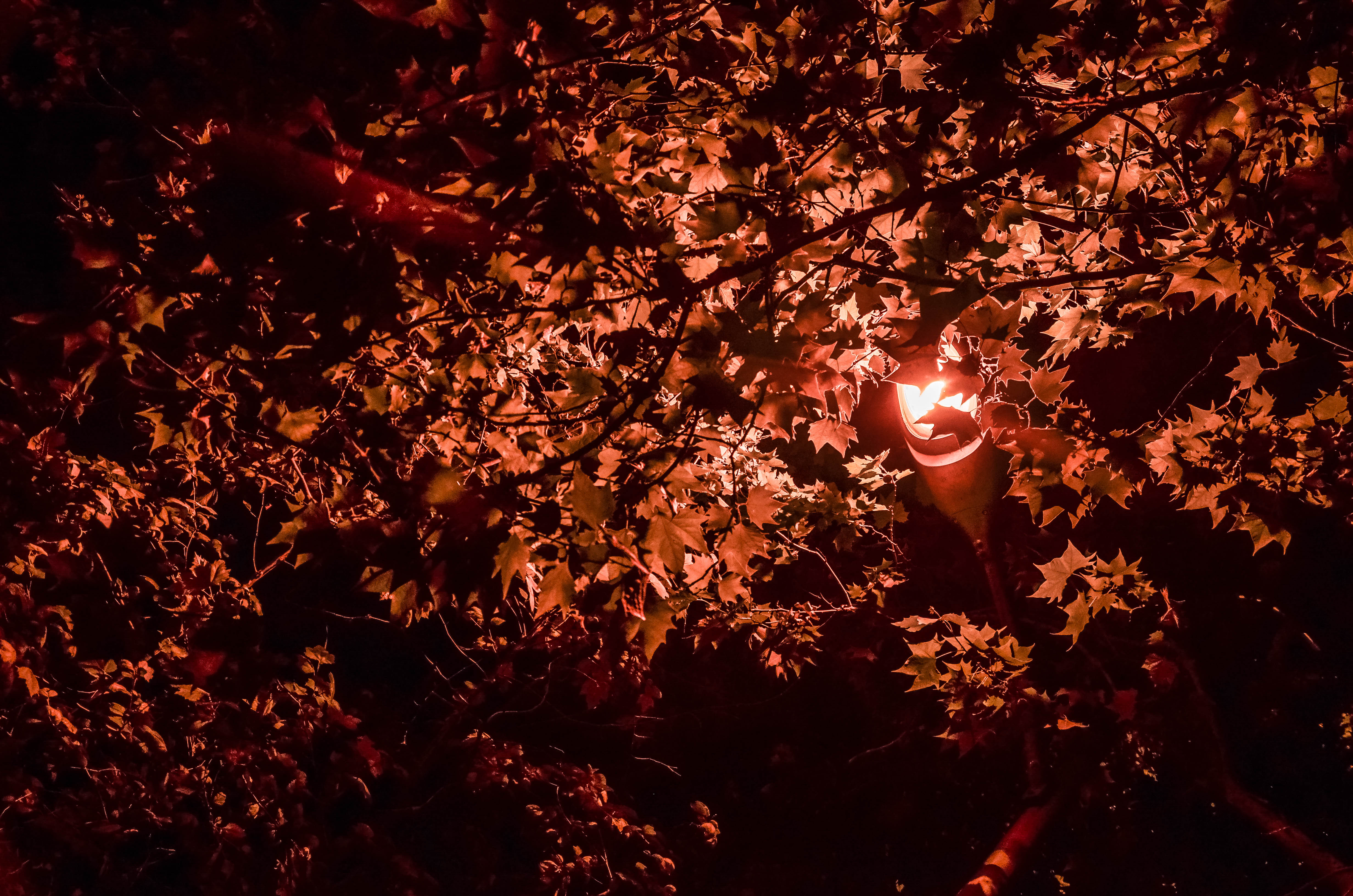 Mostof浮生的個(gè)人主頁（封面預(yù)覽） - 主頁封面設(shè)置 - 站酷設(shè)計(jì)師Mostof浮生原創(chuàng)素材 - 站酷ZCOOL