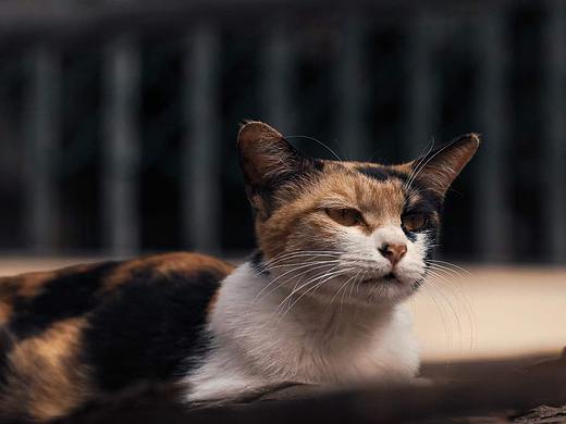 走过的路都叫生活,来看看我的世界吧