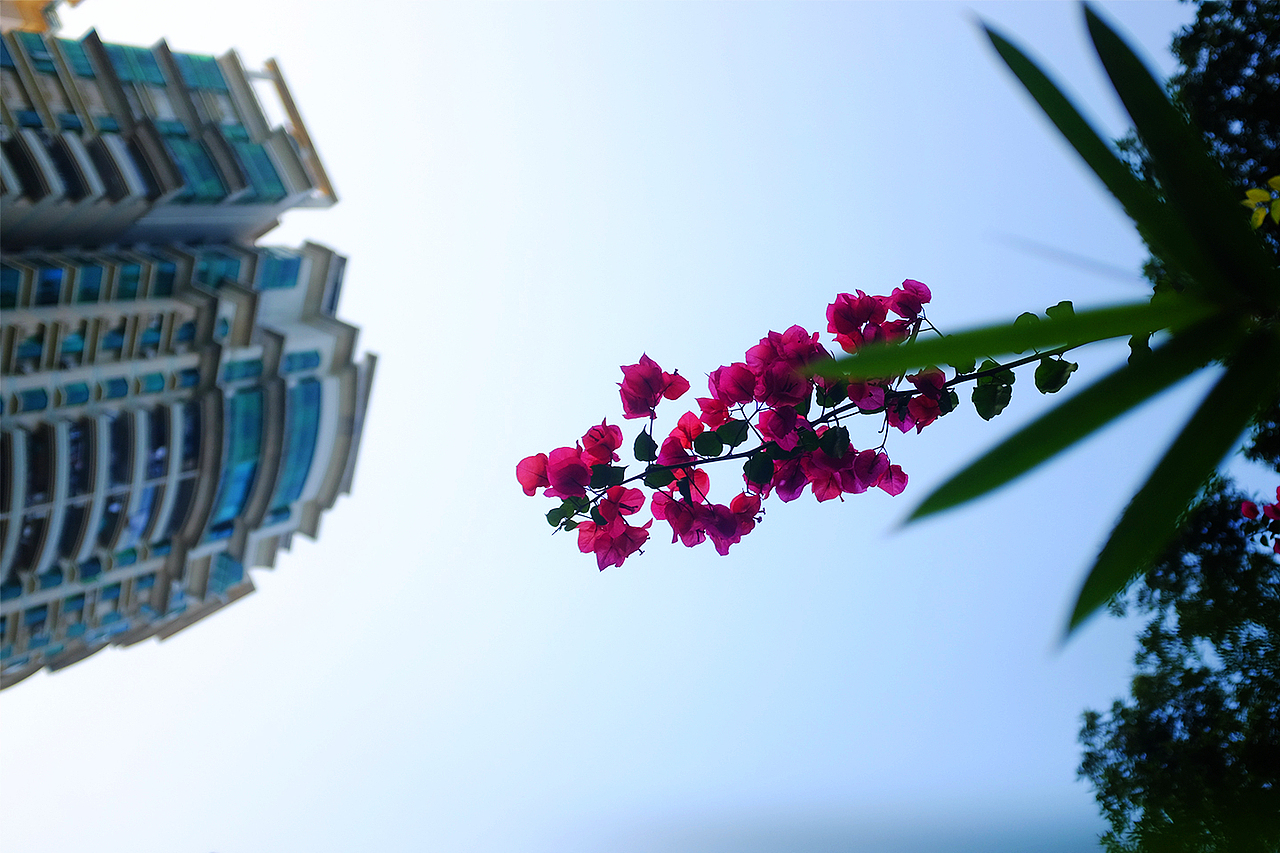 翠竹公园（图ZMTg3OTE1Mjc2） - 人文/纪实摄影 - 站酷设计师风流阿k原创素材 - 站酷ZCOOL