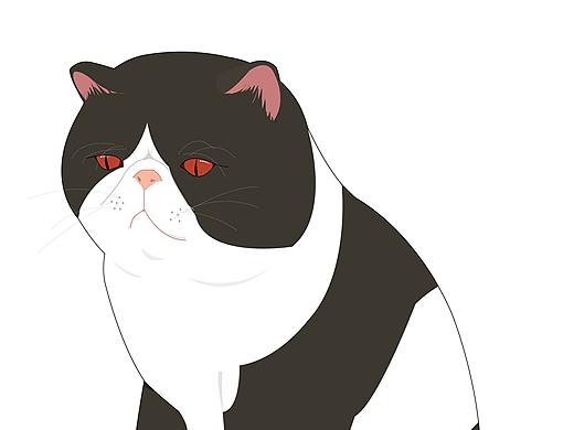 沒事插畫手繪（個人主頁-ZMzk5NDIwMTY=） - 創(chuàng)作習作 - 站酷設計師0大胖0原創(chuàng)素材 - 站酷ZCOOL