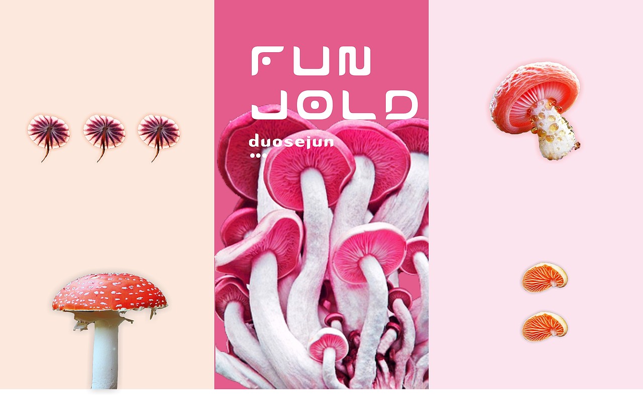 多色菌（图ZNTk5MjcxNjQ=） - 其他平面 - 站酷设计师停道酬勤原创素材 - 站酷ZCOOL