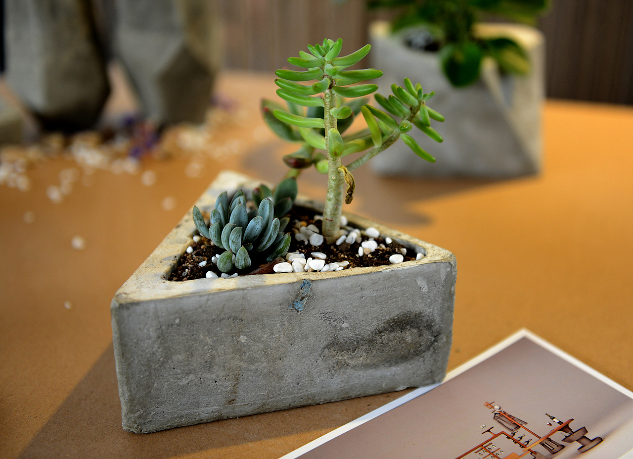 做了几个水泥小花盆 也放上去了