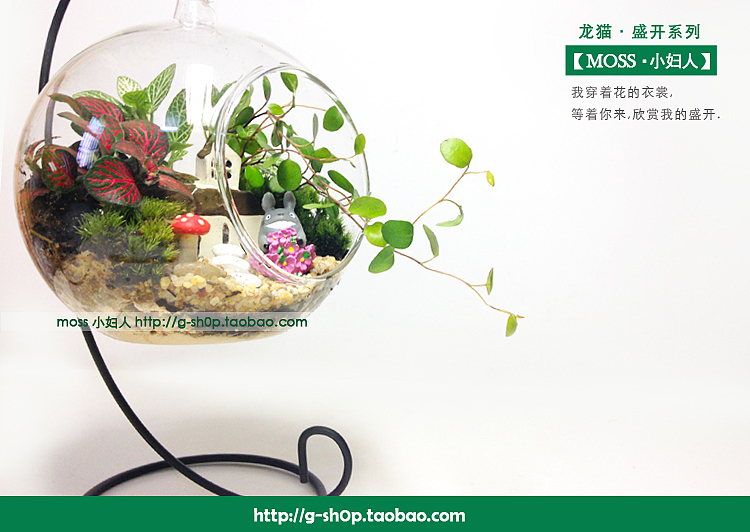 一盆小森林（图ZMjU0NTAzMDA=） - 其他手工艺 - 站酷设计师o0azhu0o原创素材 - 站酷ZCOOL