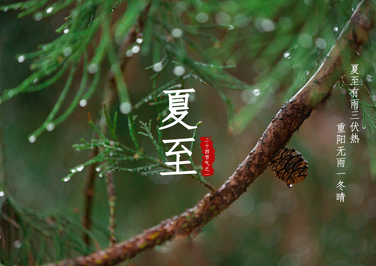 二十四节气海报--夏至（图ZMjEyNjAyOTM2） - 海报 - 站酷设计师鱼下凡好难的原创素材 - 站酷ZCOOL