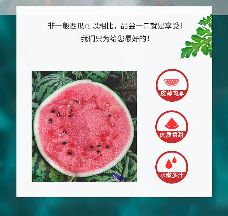 水果小程序项目已上线（图ZMjIyNDYwNjg0） - APP界面 - 站酷设计师董公举原创素材 - 站酷ZCOOL