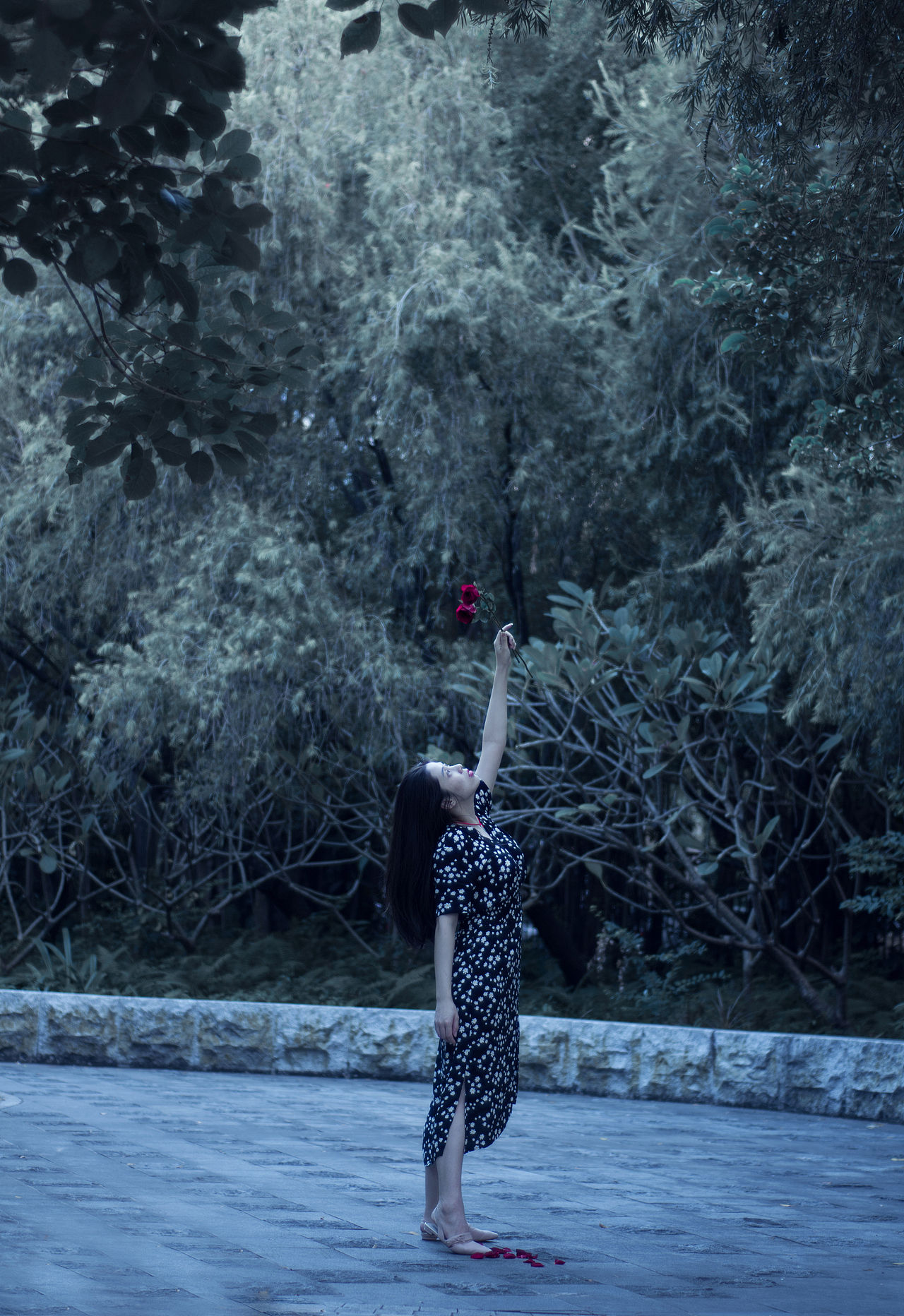 【我的朋友们】这世间本无留恋,却碰上了你