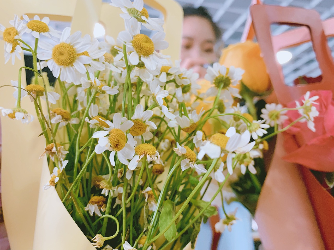 花卉随拍（图ZMTY2MzM1NzMy） - 产品摄影 - 站酷设计师设影西岸VON原创素材 - 站酷ZCOOL