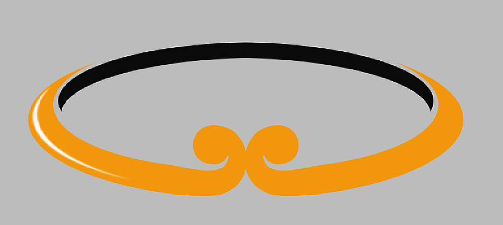 [PS]临摹齐天小Z—ZCOOL-10TH