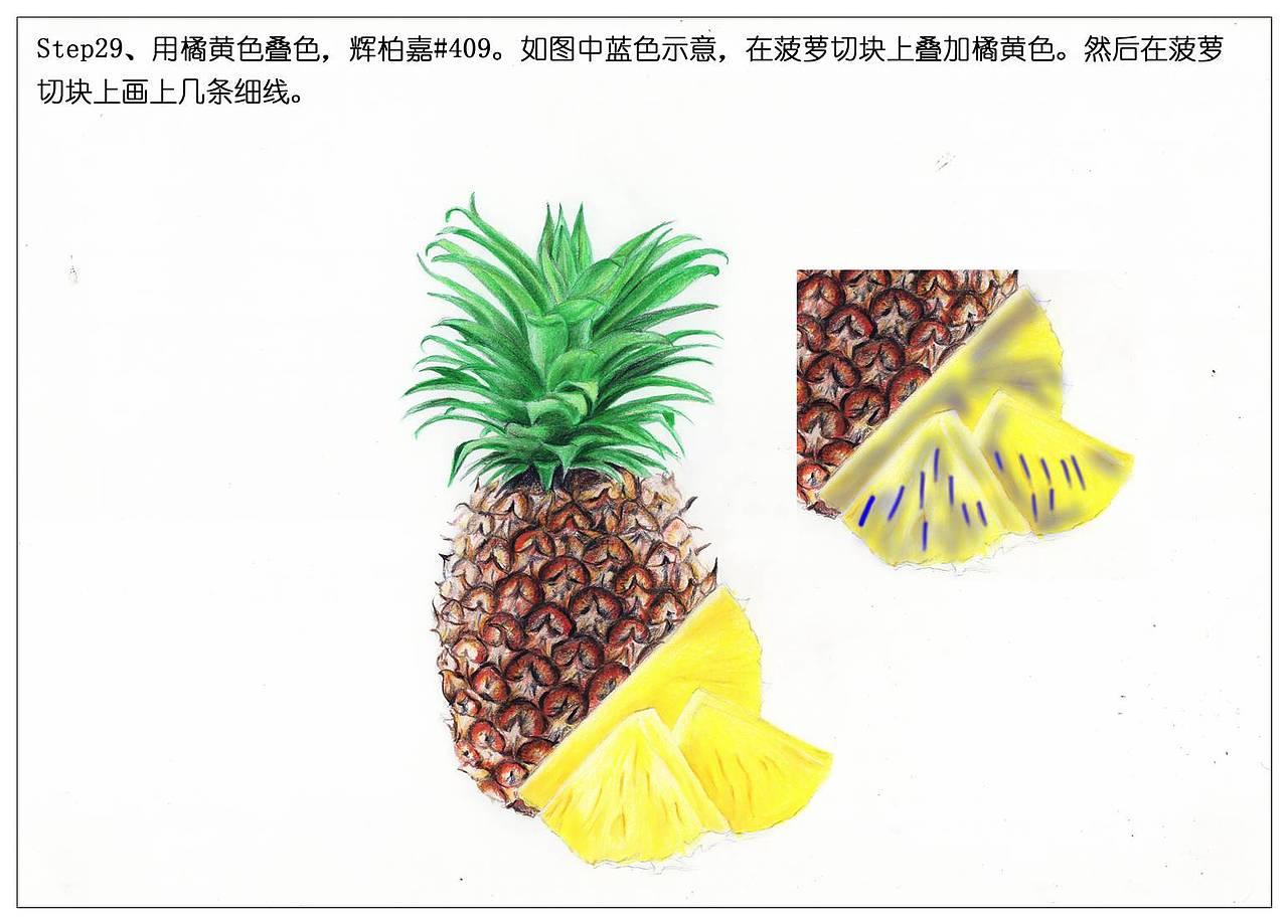 【驴大萌彩铅】手绘24节气水果图鉴 谷雨菠萝