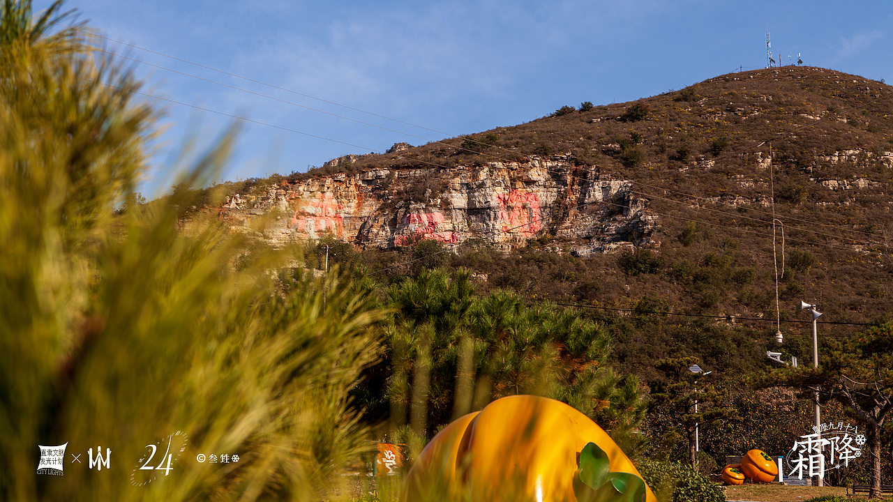霜降 ｜ 好柿成霜，喜从天降。（图ZMjc0OTcyMjQw） - 风光摄影 - 站酷设计师豹四原创素材 - 站酷ZCOOL