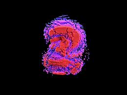 C4D X-Particles 倒计时临摹