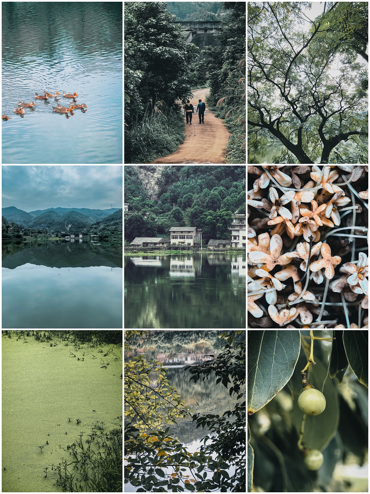 治愈人心的乡野田间， 是关于我们的归属（图ZMzYwNDQ1NzIw） - 风光摄影 - 站酷设计师图龙摄影原创素材 - 站酷ZCOOL