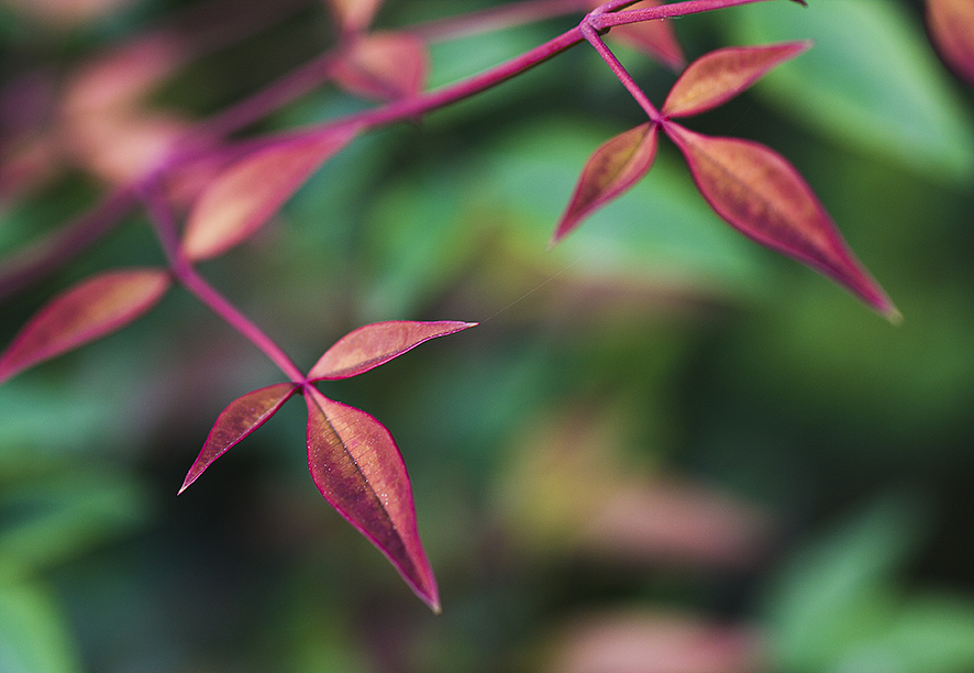 2014·10九寨沟（图ZMjA5NDgxNjA=） - 风光摄影 - 站酷设计师RyanShao原创素材 - 站酷ZCOOL