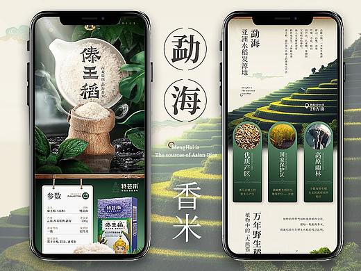 傣王稻 | 电商设计 详情页主页
