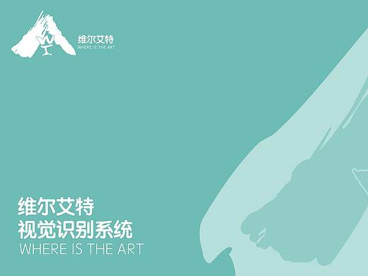 维尔艾特品牌vi识别手册