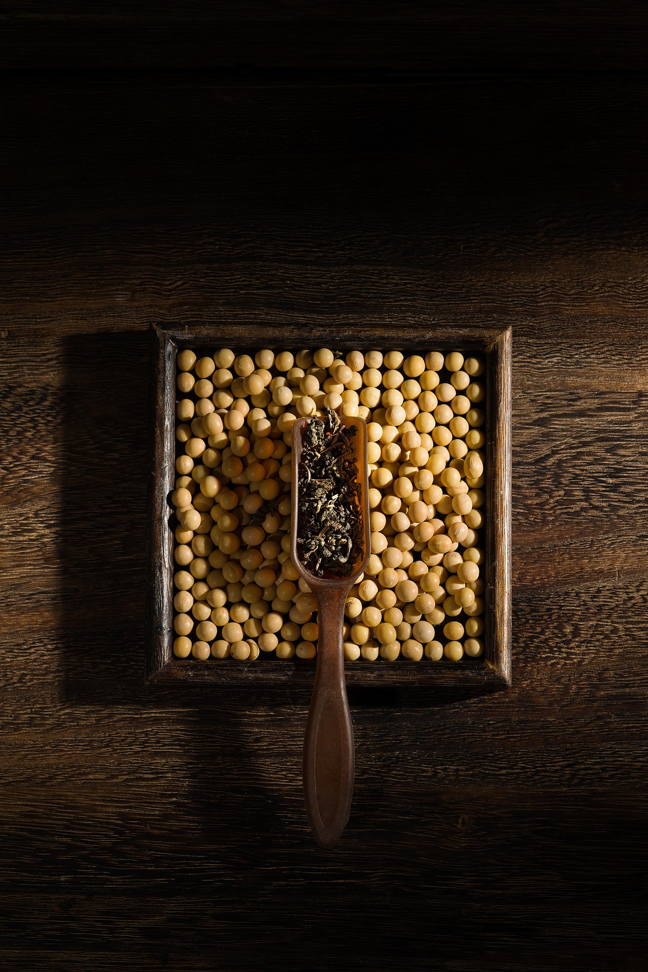 SEVENBUS 茶叶概念图拍摄（图ZMjkxNDQ2NzYw） - 时尚/艺术摄影 - 站酷设计师NOSeriousOffice原创素材 - 站酷ZCOOL