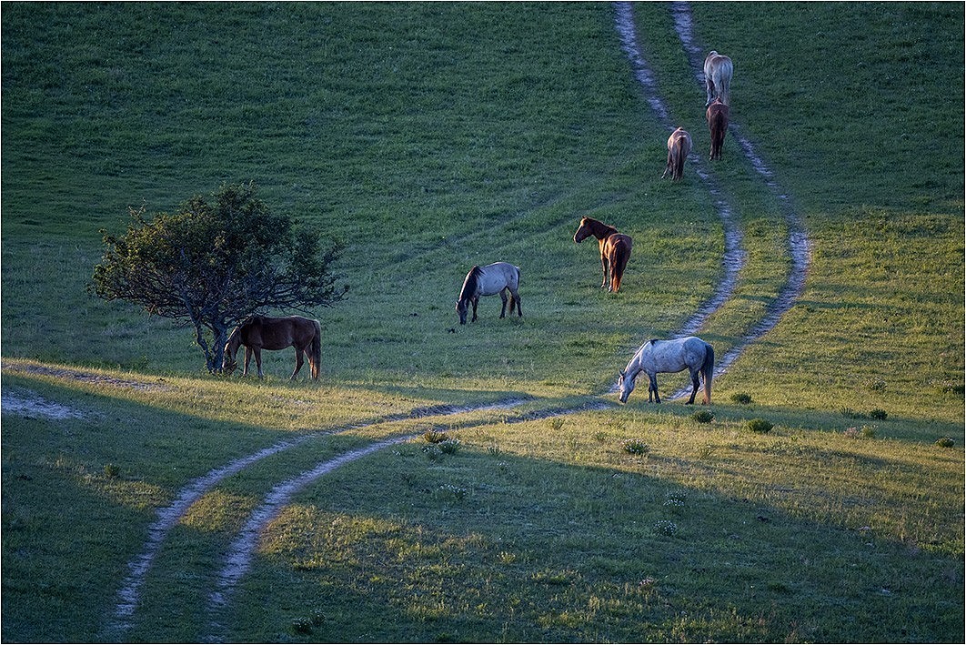 精修风景图片（图ZMzE4MzIyMjEy） - 修图/后期 - 站酷设计师胡扬_像素工坊原创素材 - 站酷ZCOOL