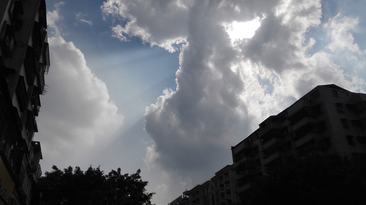 来到陌生的城市工作·记录