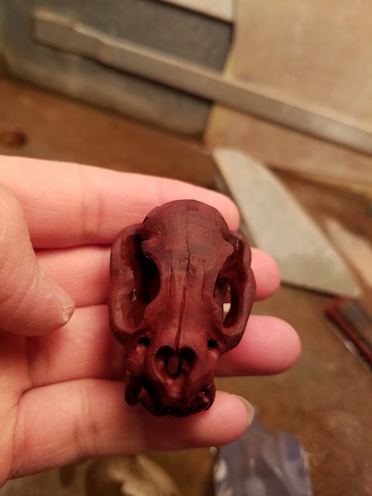 把眼睛浪费在喜欢的事情