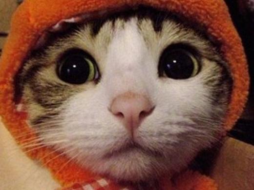 练习作品（个人主页-ZMjQzMjI4MTY=） - Logo - 站酷设计师图图兔0926原创素材 - 站酷ZCOOL