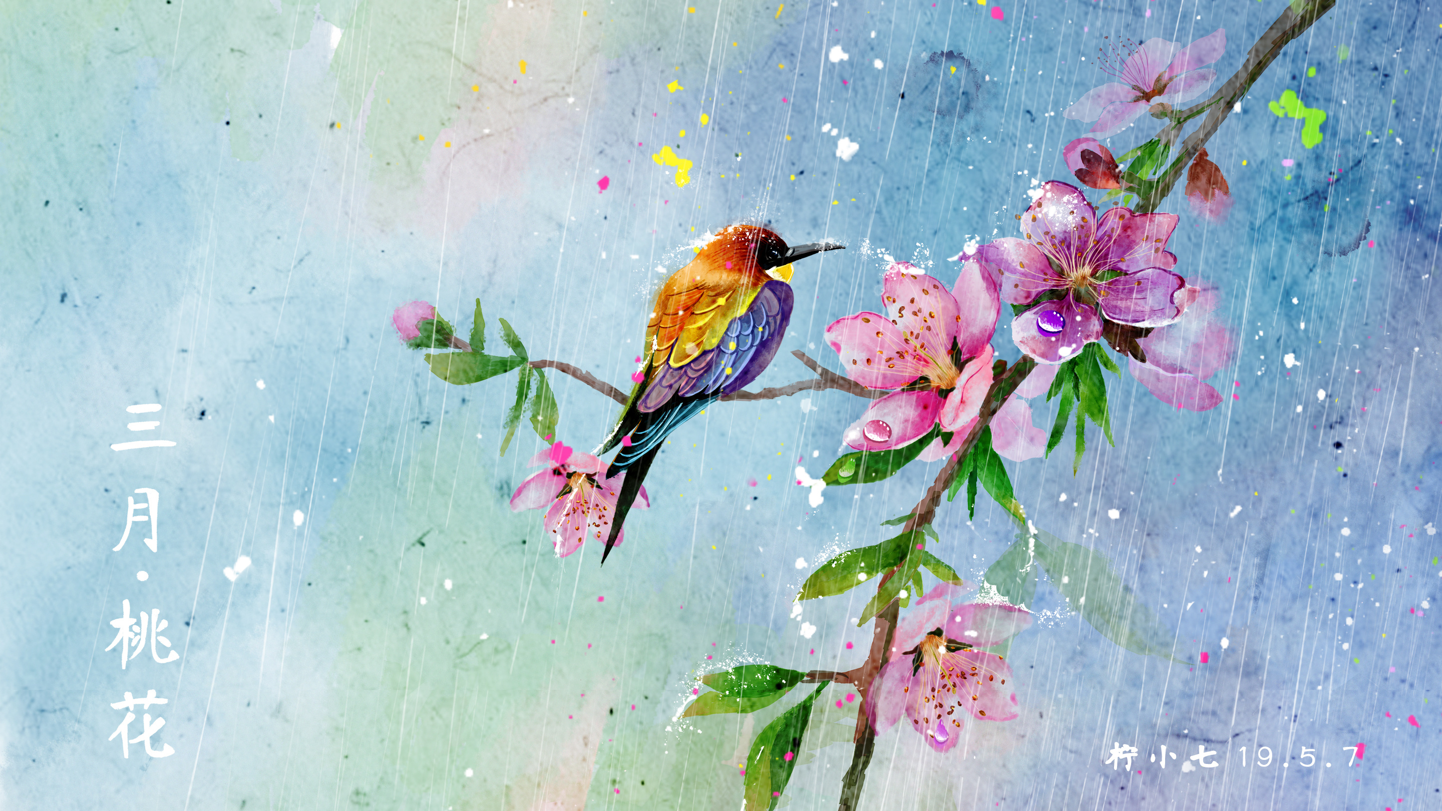 水彩花鸟十二月花信一至六月