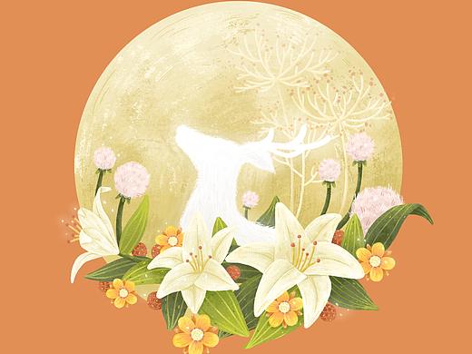 植物插画·练习