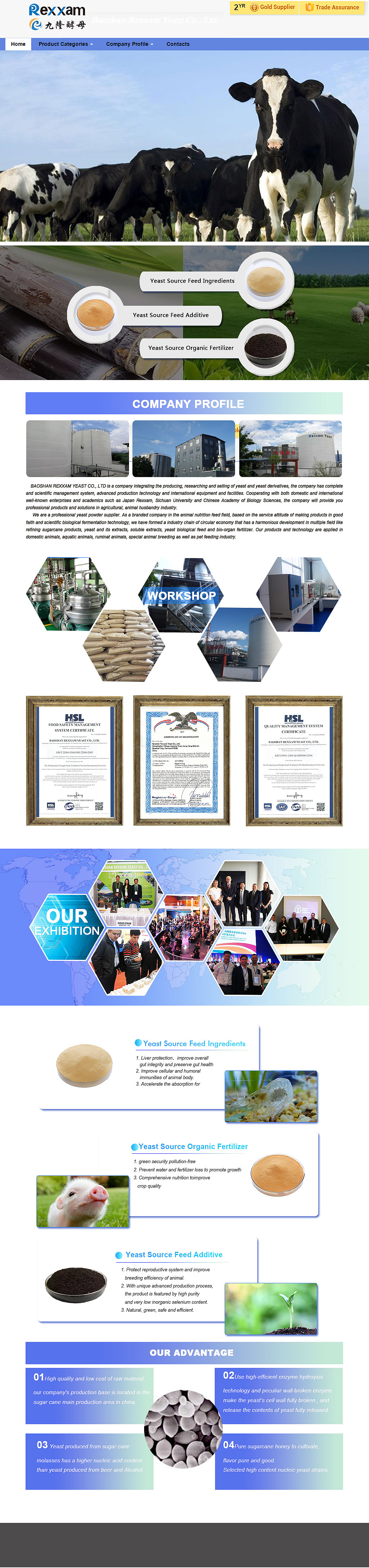 九隆酵母官网（图ZOTM0ODA2ODA=） - 企业官网 - 站酷设计师静阳原创素材 - 站酷ZCOOL