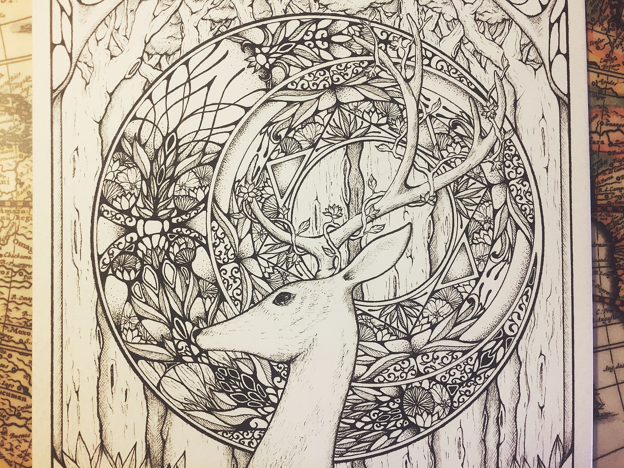 针管笔插画鹿Ⅰ