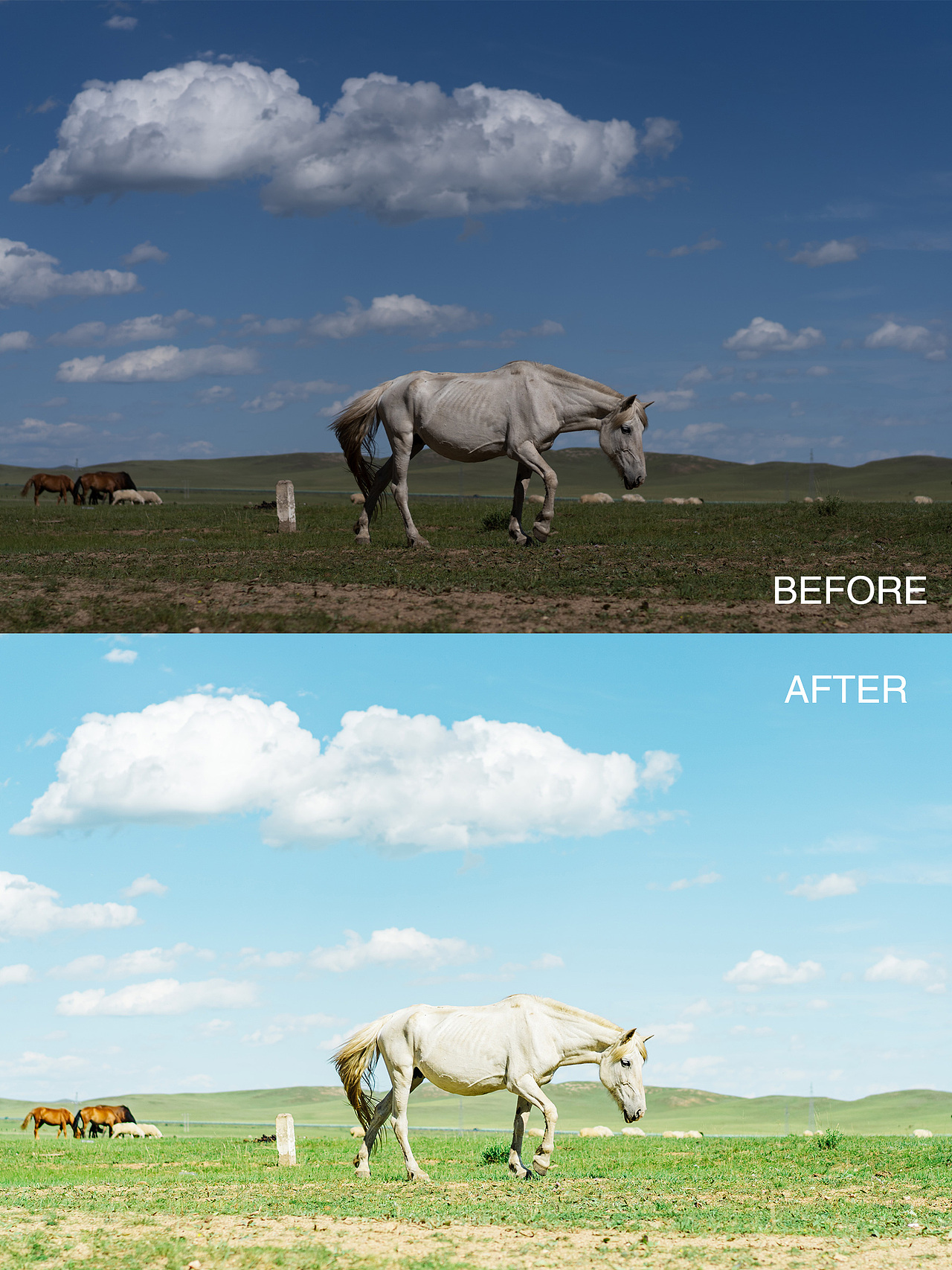 LR调色教程（图ZMjI2MDU4NTky） - 修图/后期 - 站酷设计师一船长原创素材 - 站酷ZCOOL