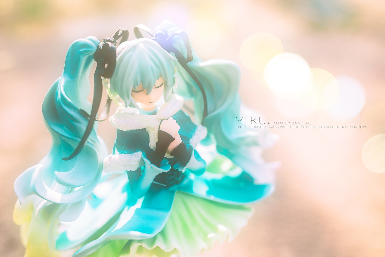 初音夏雪草