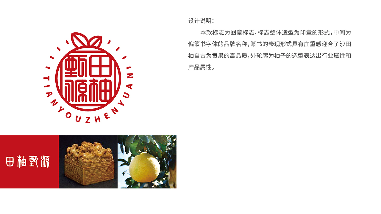 田柚甄源logo设计提案-飞机稿（图ZMTc1MTY1OTI0） - Logo - 站酷设计师黑璞设计原创素材 - 站酷ZCOOL