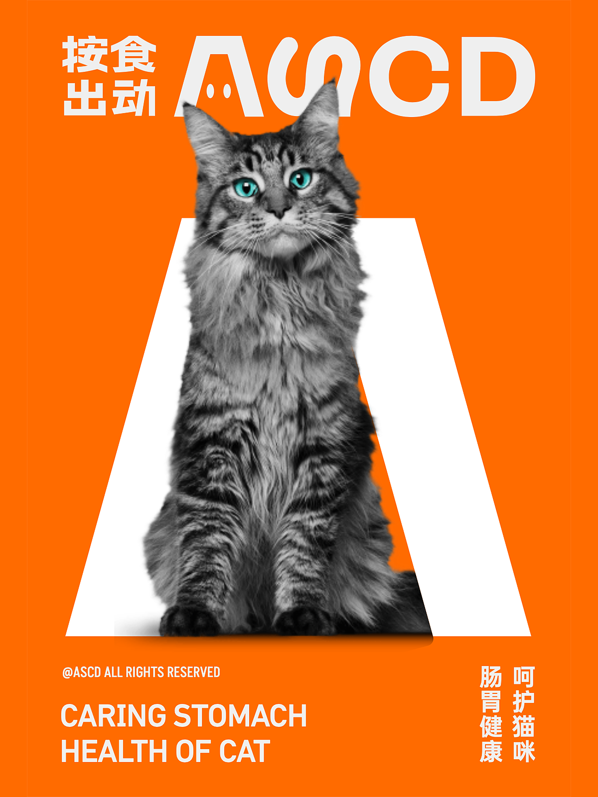 按食出动 | 猫粮品牌设计