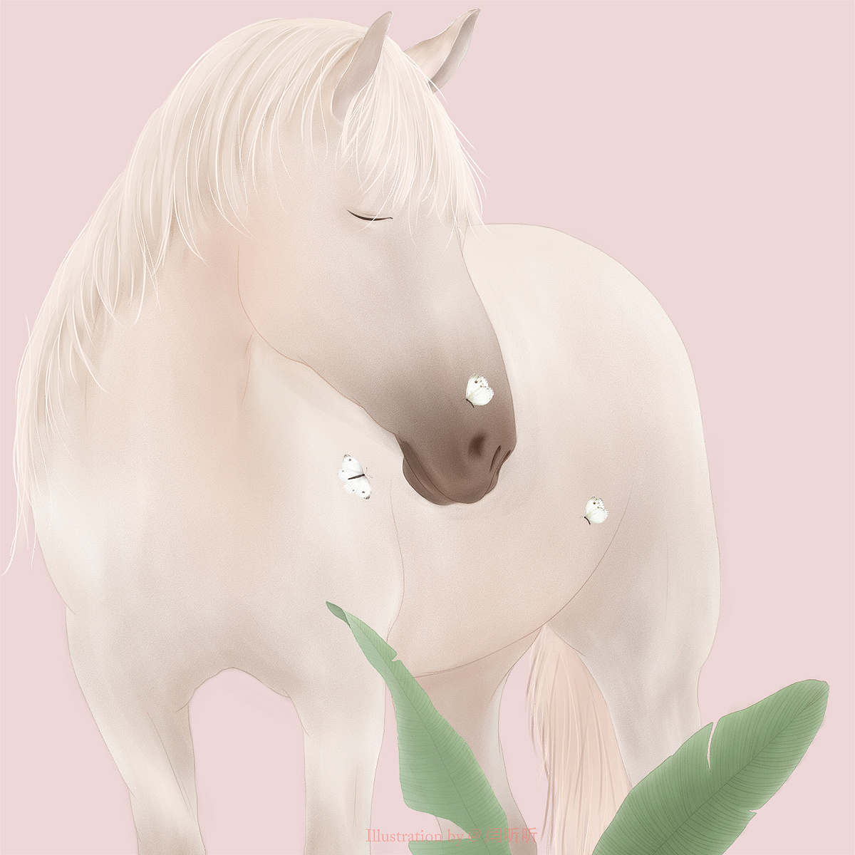 白马|插画|商业插画|闫听听 - 原创作品 - 站酷 (zcool)