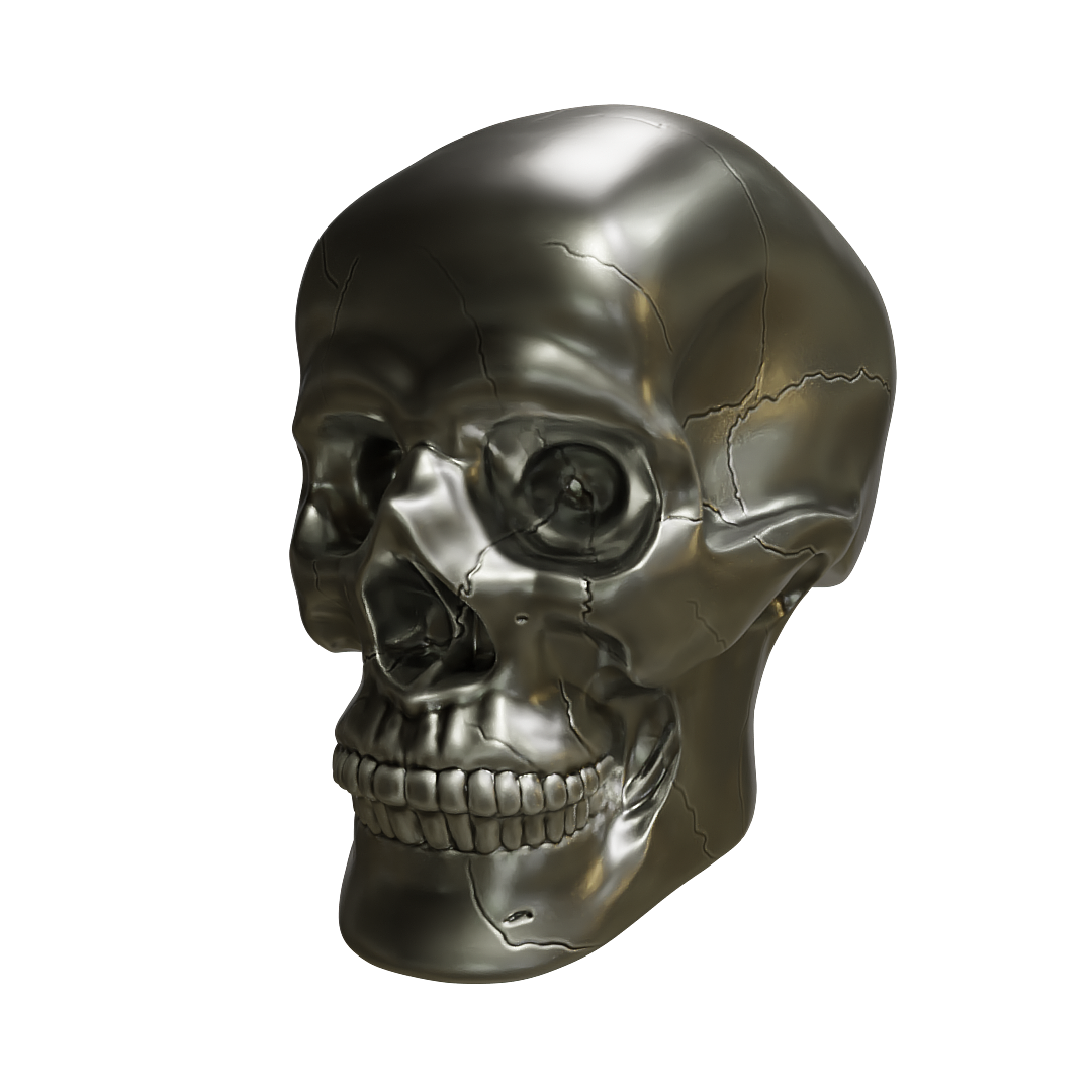 blender雕刻练习：头骨（图ZMjE3NDQ4MTQw） - 人物/生物 - 站酷设计师至文Yyn原创素材 - 站酷ZCOOL