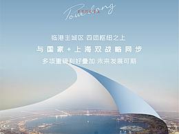 四团宝龙价值系列